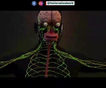 Let's strengthen our immunity against covid-19   Smart patch