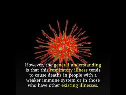 9 Healthy Tips How To Boost Immune System These Pandemic
