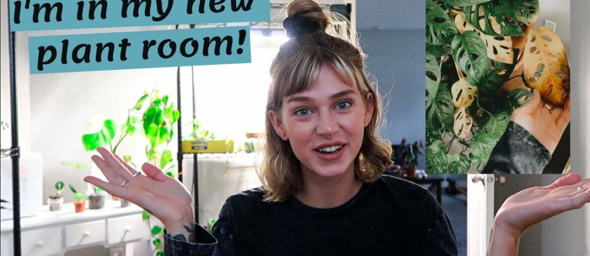 My New Plant Room (In Progress!) + How My Plants Are Doing After The Move