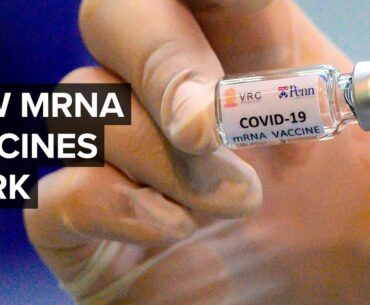 What Is An mRNA Coronavirus Vaccine?