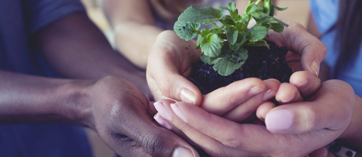 Live: UN chief hosts virtual meeting on SDG and COVID-19 recovery