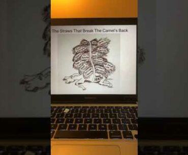 Lisa Leger Immune Health FB Live