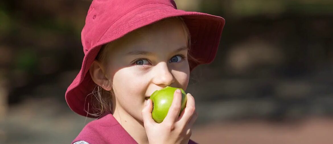 What Does 11 Vitamins And Supplements That Boost Energy - EZ Lifestyle Do?