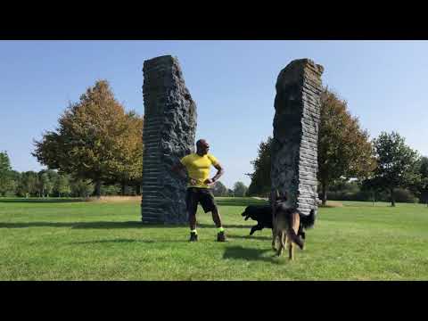 Weekend Workout! Boost your Vitamin D Levels