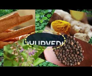 Contact - 9853585388 Boost your immunity power During covid 19.   #covid 19 #coronavirus