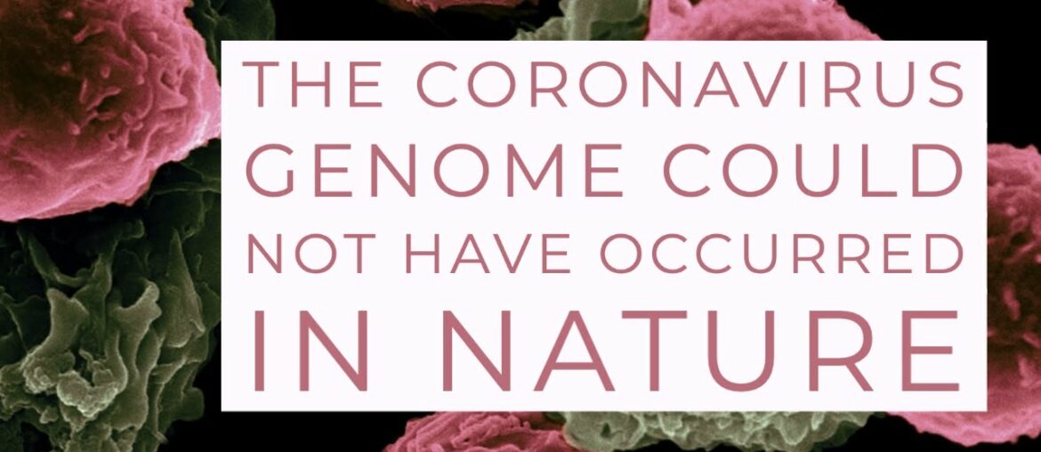 The coronavirus genome can't be made in nature