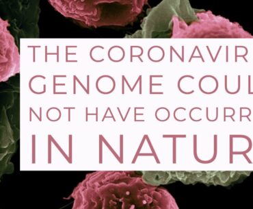 The coronavirus genome can't be made in nature