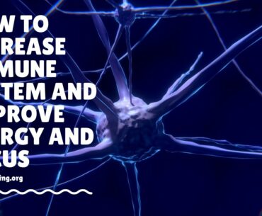 How to increase immune system and improve energy and focus
