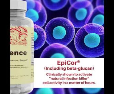 Supplement for a strong respiratory health