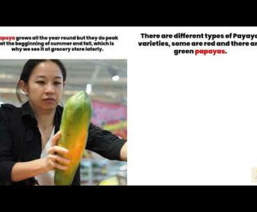 PAPAYA REVIEW: ALL YOU NEED TO KNOW