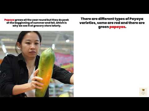 PAPAYA REVIEW: ALL YOU NEED TO KNOW