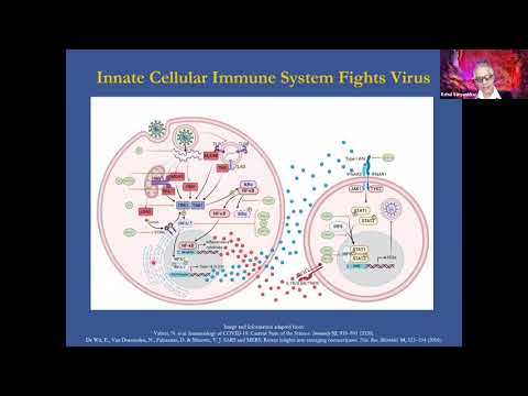 Rapid and Rational COVID-19 Drug Cocktail Discovery