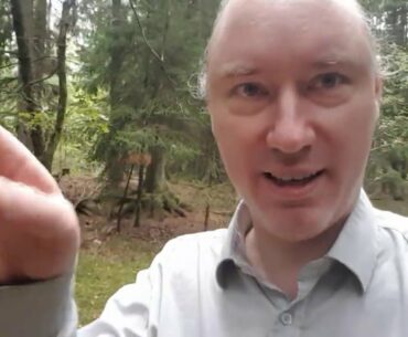 Qanon now even on Swedish State TV. Word-think and the importance of vitamin D. Leaking China labs