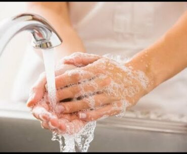 Sauerkraut could help our immune system fight against coronavirus