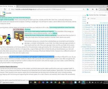 Fat Storage and Vitamin Absorption