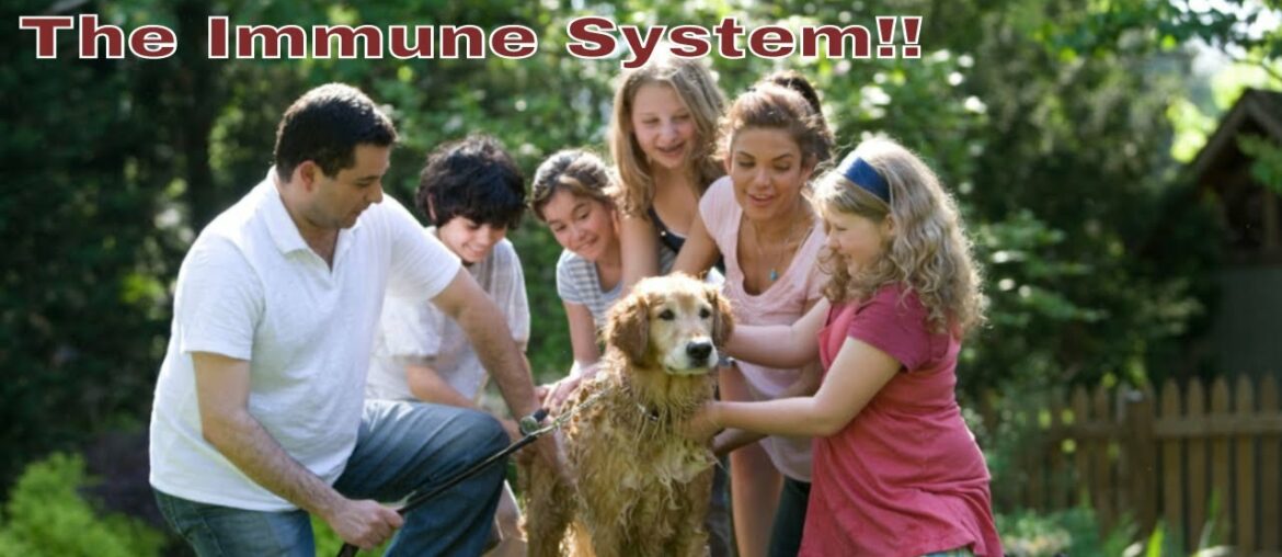 One Truth You Don't Know About Your Immune System You Never Heard Before!