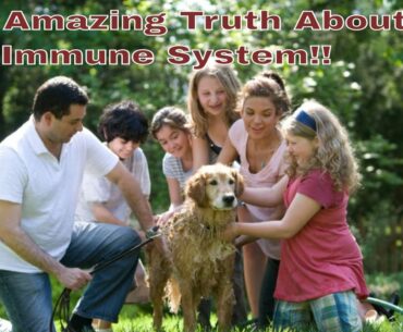 One Truth You Don't Know About Your Immune System You Never Heard Before!