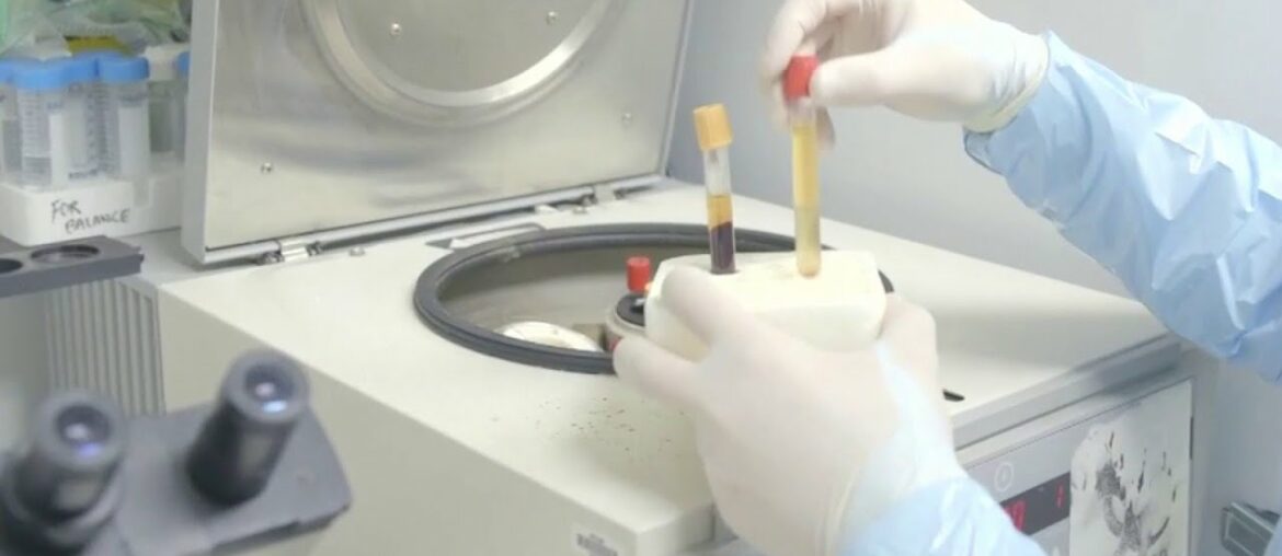 Researchers create lab-grown protein for more accurate COVID-19 antibody test