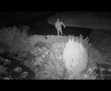 2020 09 19   Coronavirus Protest 22