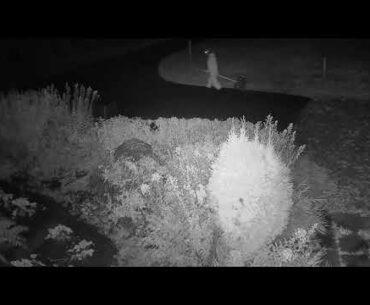 2020 09 20   Coronavirus Witch, winter style