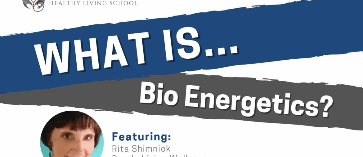 What is Bio-Energetics with Rita Shimniok