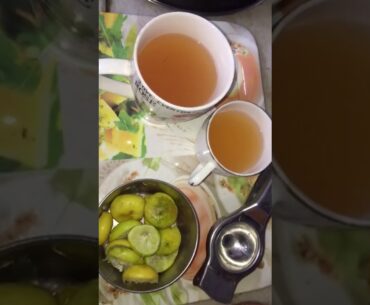 Boost your immunity in 2 minutes - Lemon Ginger Honey Health drink