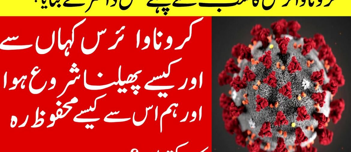 Corona Virus Symptoms And How Our Immune System Fight  -Safety Measures & Scientific Explanation