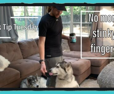 How to give your dog fish oil supplements without getting fishy fingers.