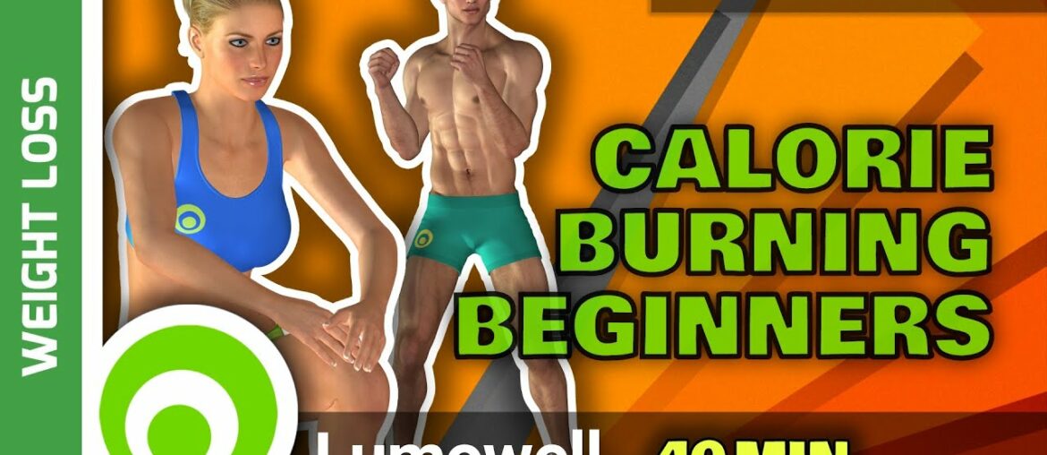Calorie Burning Workout At Home For Beginners