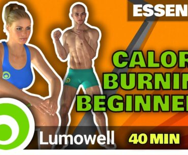 Calorie Burning Workout At Home For Beginners