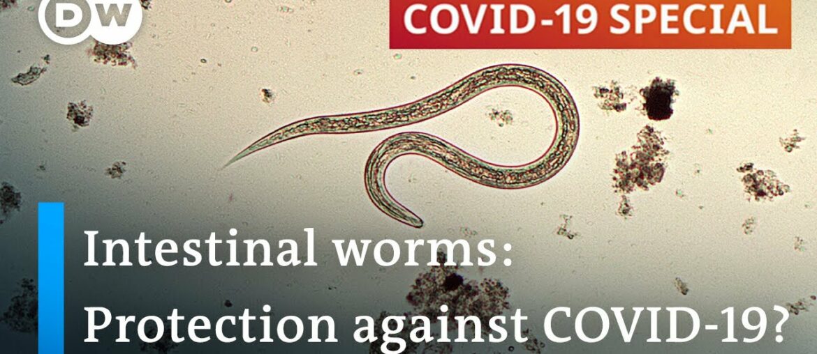 Coronavirus: Are parasitic worms responsible for low fatality rates in Africa? | COVID-19 Special