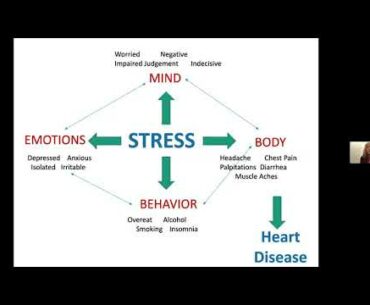 A Wellness Heart to Heart: Healthy Diet & Stress Management 9/22/20