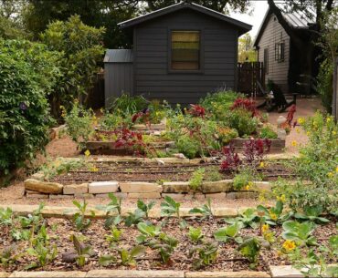 Growing Wellness in a Garden | Meredith Thomas | Central Texas Gardener
