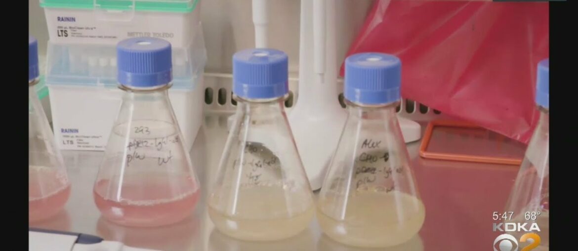 Doctors Look To Early 2021 For Clinical Trials Of Pitt's Coronavirus-Attacking Antibody