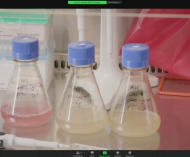 Doctors Look To Early 2021 For Clinical Trials Of Pitt's Coronavirus-Attacking Antibody