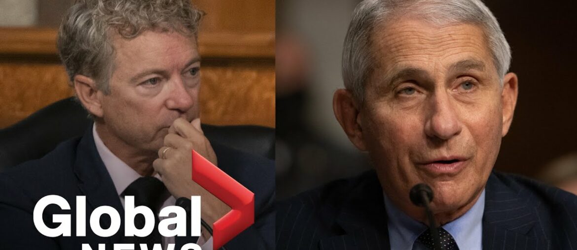 Coronavirus: Fauci spars with Sen. Rand Paul over New York COVID-19 death rate
