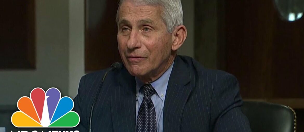Fauci Challenges GOP Senator In Heated Exchange Over Herd Immunity | NBC News NOW