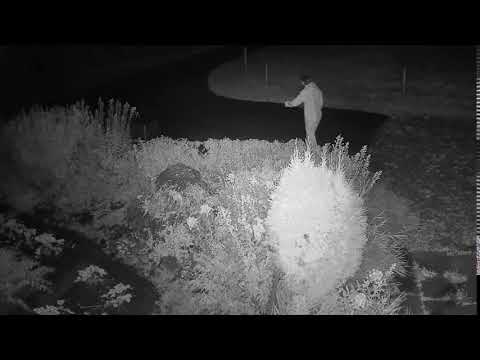 2020 09 23   Coronavirus Outbreak 9