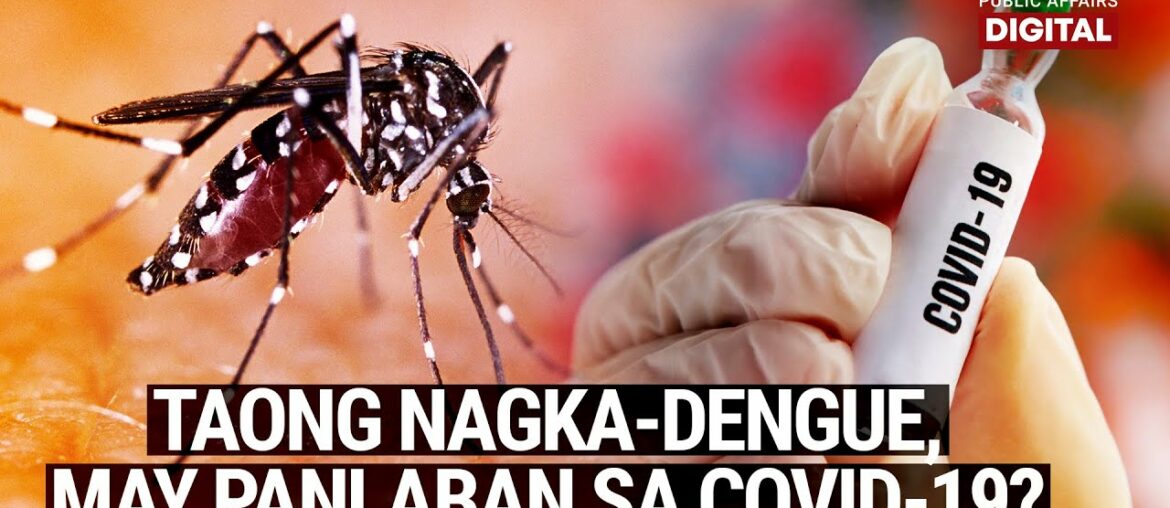 GMA News Feed: Taong naka-dengue, may immunity sa COVID-19?