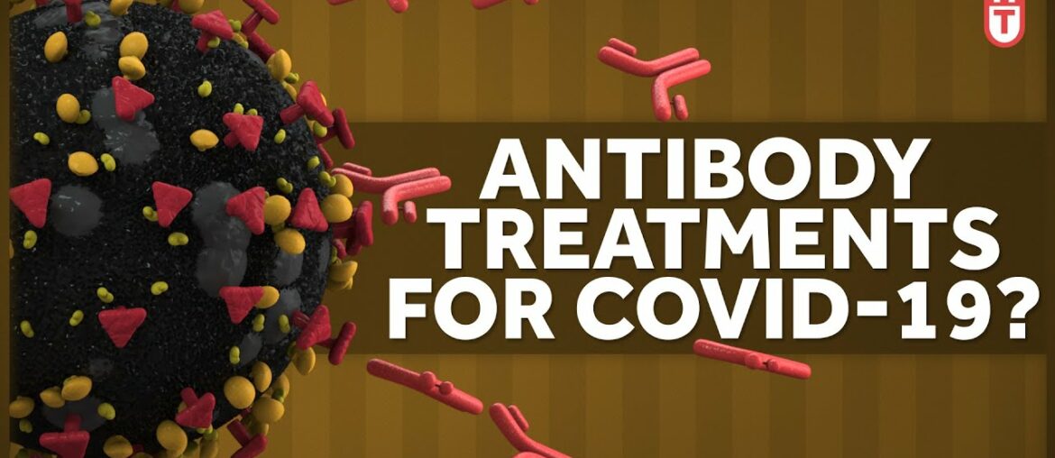 Can We Use Antibodies to Treat Covid-19?