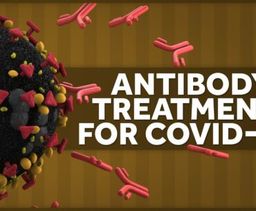 Can We Use Antibodies to Treat Covid-19?