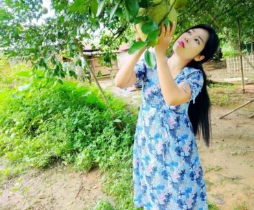 Picking Pomelo(jamra) in my village || it's recipe & lots of  health benefits|| #pomelofruit