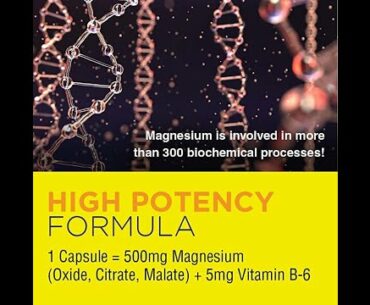 Nature’s Life Magnesium Capsules, 500mg  High Potency Magnesium Supplement Plus Vitamin B-6 fo...