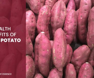 Health benefits of Sweet Potatoes | Multi vitamin rich food | Healthy Essence |