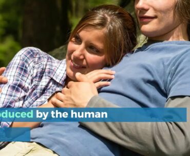 VITAMIN D A GIFT OF THE SUNSHINE AND THE VEGAN DIET