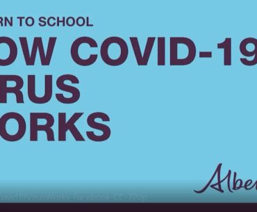 Return to school: How COVID-19 virus works