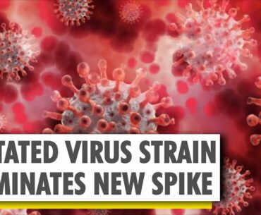 More contagious strain of the Coronavirus now dominates recent samples | Houston Study