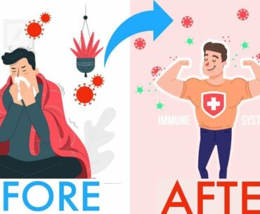 Top 5 ways to boost your immunity | How to strengthen your immune system | THE FACTICIANS