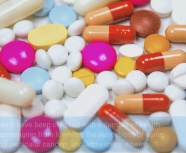 The Best Guide To Vitamins and Supplements - Vitacost