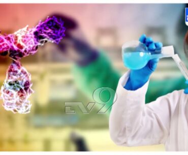 Study suggests dengue may provide some immunity against Covid 19 - TV9